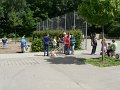P1310991 (2)